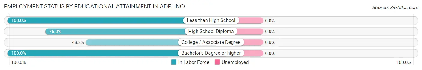 Employment Status by Educational Attainment in Adelino