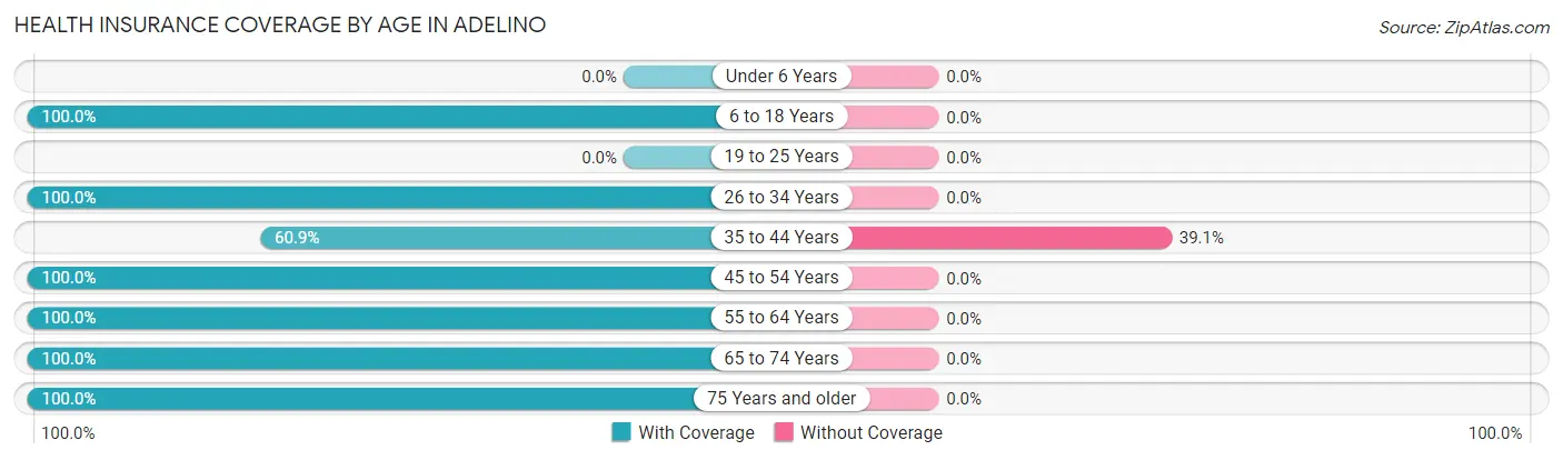 Health Insurance Coverage by Age in Adelino
