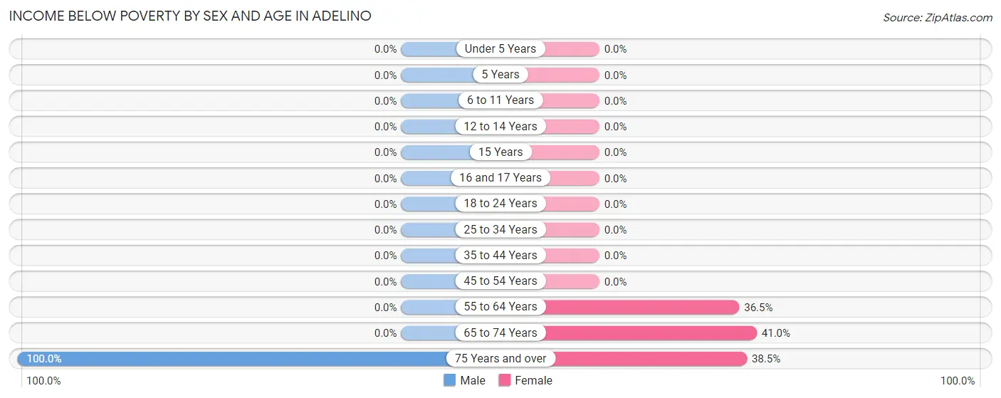 Income Below Poverty by Sex and Age in Adelino