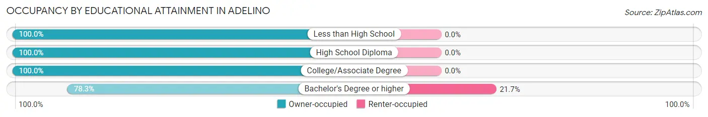 Occupancy by Educational Attainment in Adelino