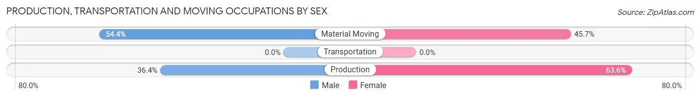 Production, Transportation and Moving Occupations by Sex in Agua Fria
