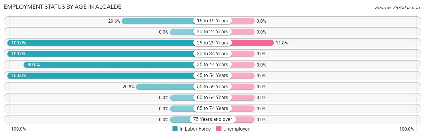 Employment Status by Age in Alcalde