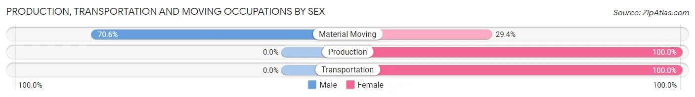 Production, Transportation and Moving Occupations by Sex in Angel Fire
