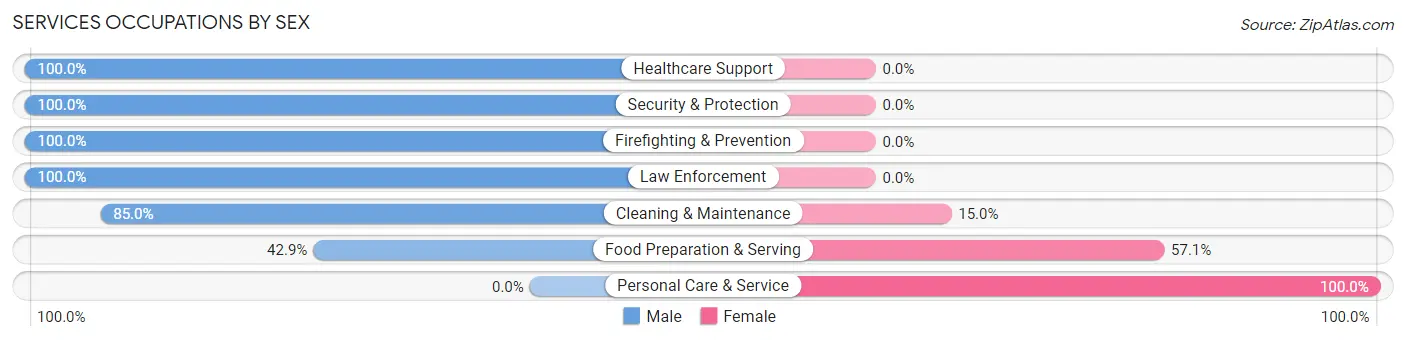 Services Occupations by Sex in Angel Fire