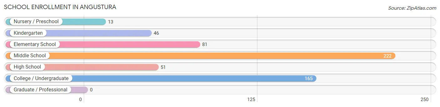 School Enrollment in Angustura