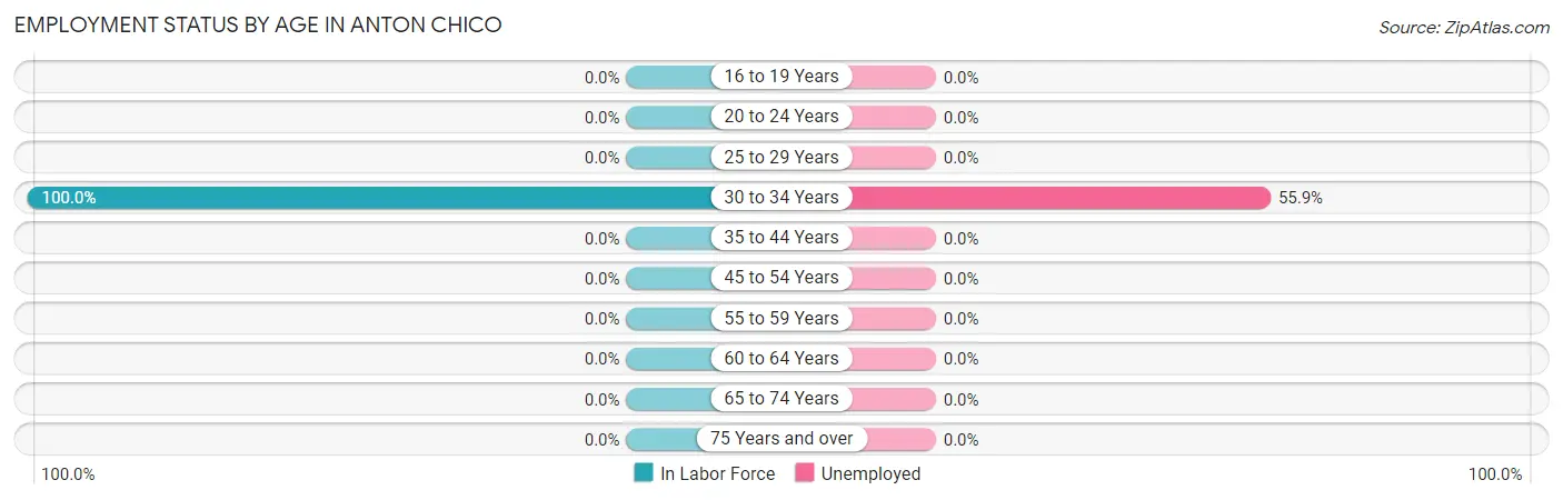 Employment Status by Age in Anton Chico