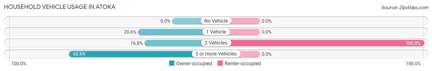 Household Vehicle Usage in Atoka