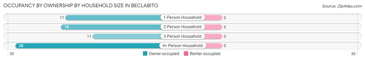 Occupancy by Ownership by Household Size in Beclabito