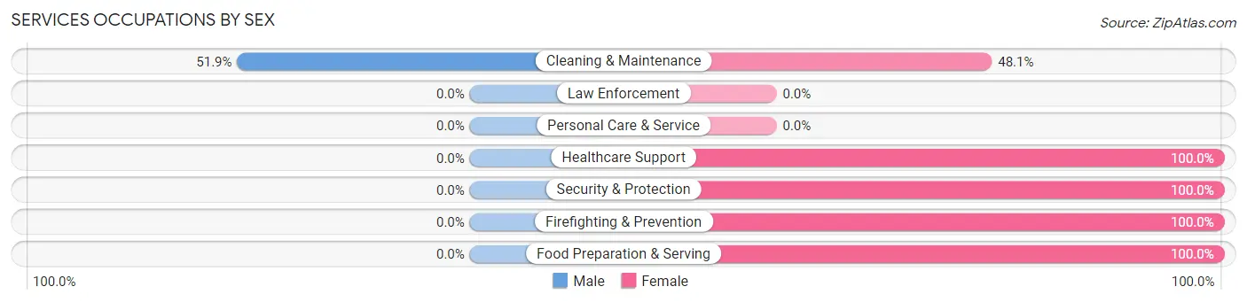 Services Occupations by Sex in Belen