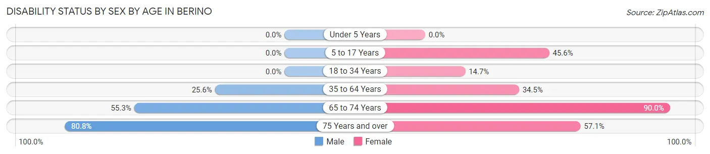 Disability Status by Sex by Age in Berino