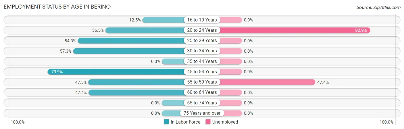 Employment Status by Age in Berino