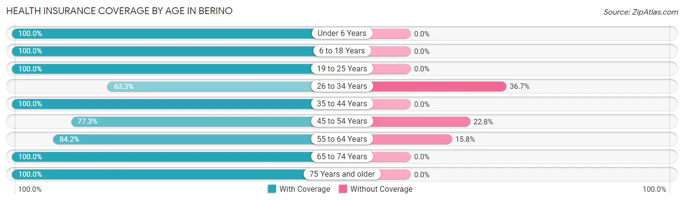 Health Insurance Coverage by Age in Berino