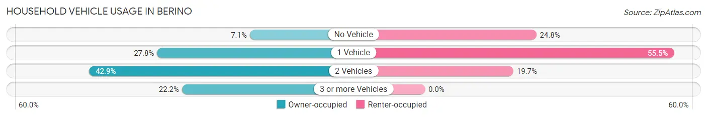 Household Vehicle Usage in Berino