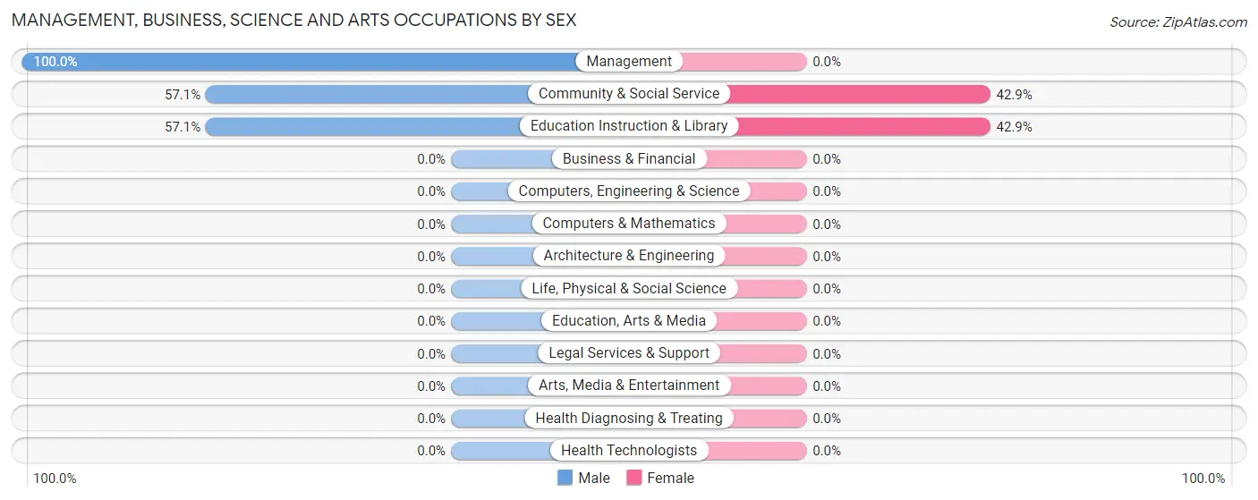 Management, Business, Science and Arts Occupations by Sex in Berino