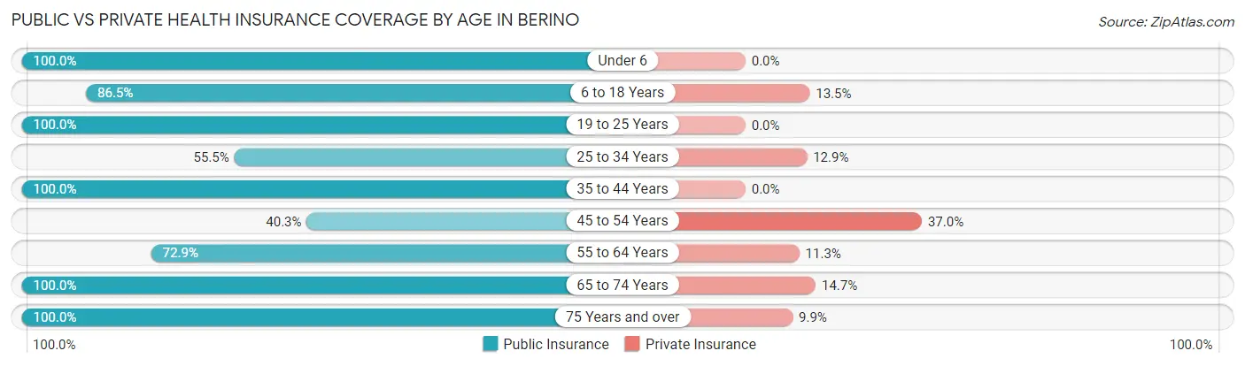 Public vs Private Health Insurance Coverage by Age in Berino