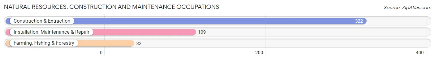 Natural Resources, Construction and Maintenance Occupations in Bloomfield