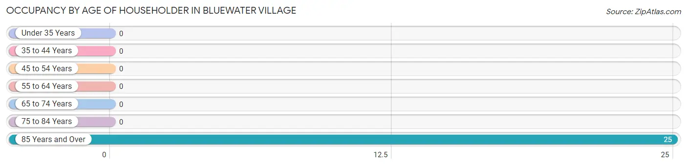 Occupancy by Age of Householder in Bluewater Village
