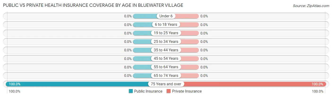 Public vs Private Health Insurance Coverage by Age in Bluewater Village