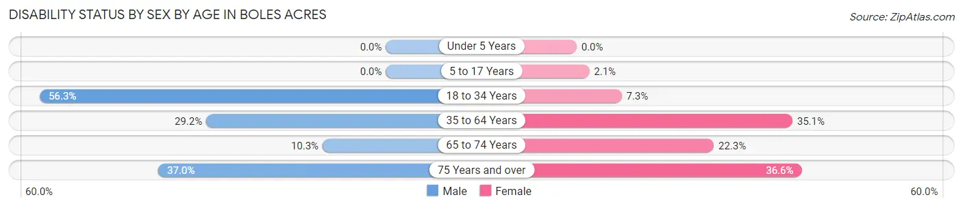 Disability Status by Sex by Age in Boles Acres