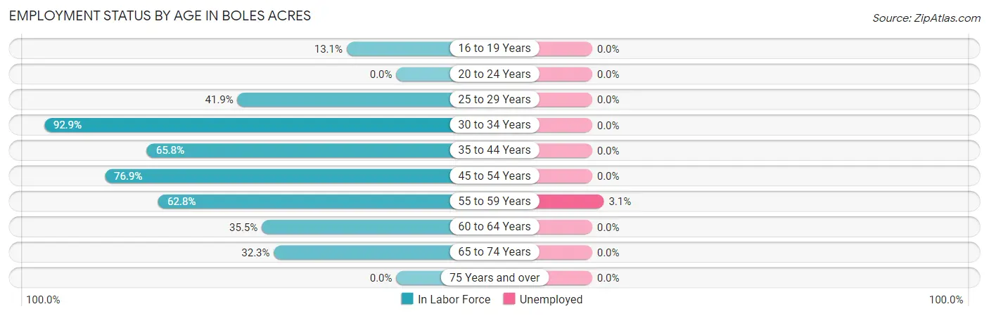 Employment Status by Age in Boles Acres
