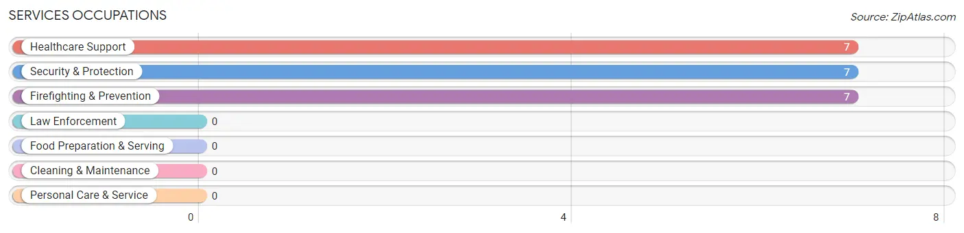 Services Occupations in Borrego Pass