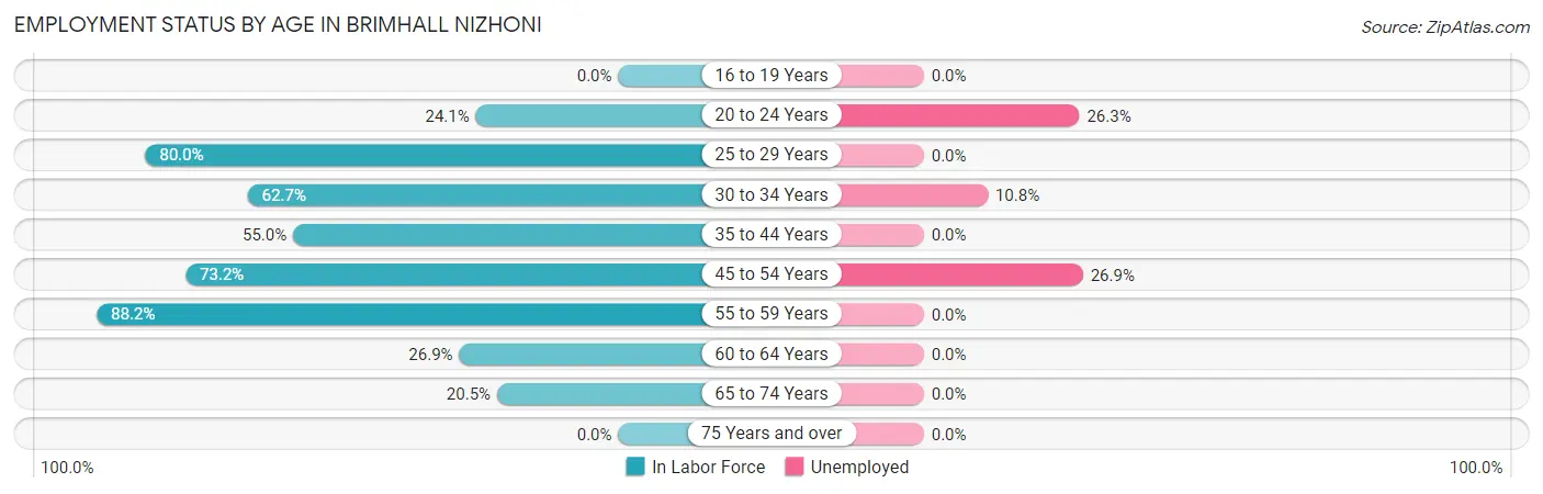 Employment Status by Age in Brimhall Nizhoni