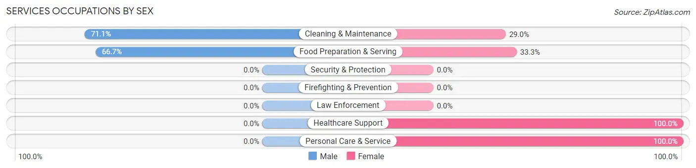 Services Occupations by Sex in Brimhall Nizhoni