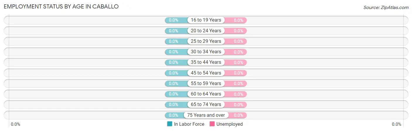 Employment Status by Age in Caballo