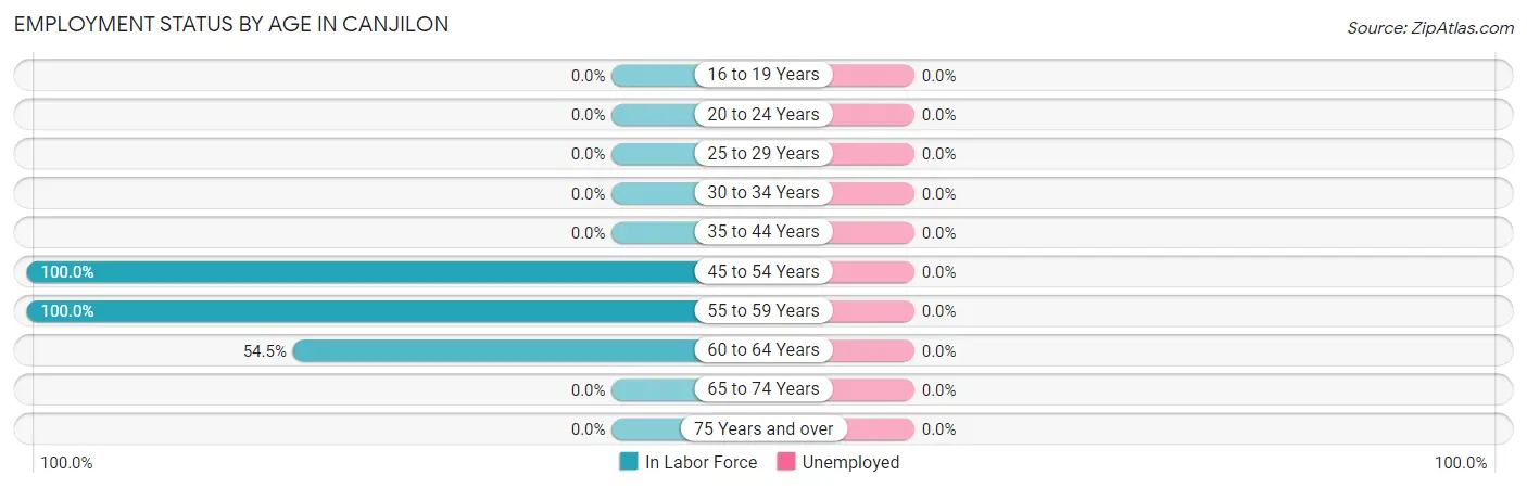 Employment Status by Age in Canjilon