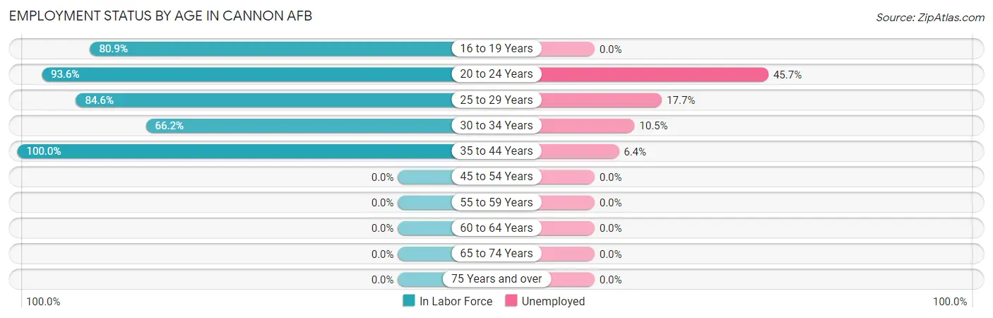 Employment Status by Age in Cannon AFB