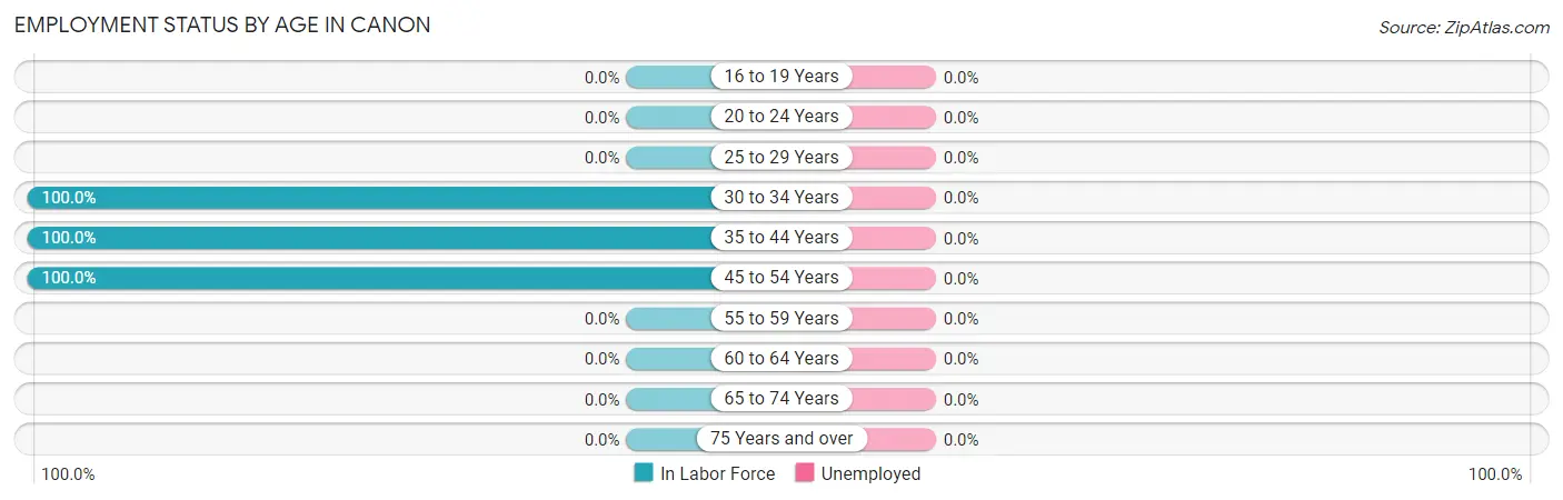 Employment Status by Age in Canon
