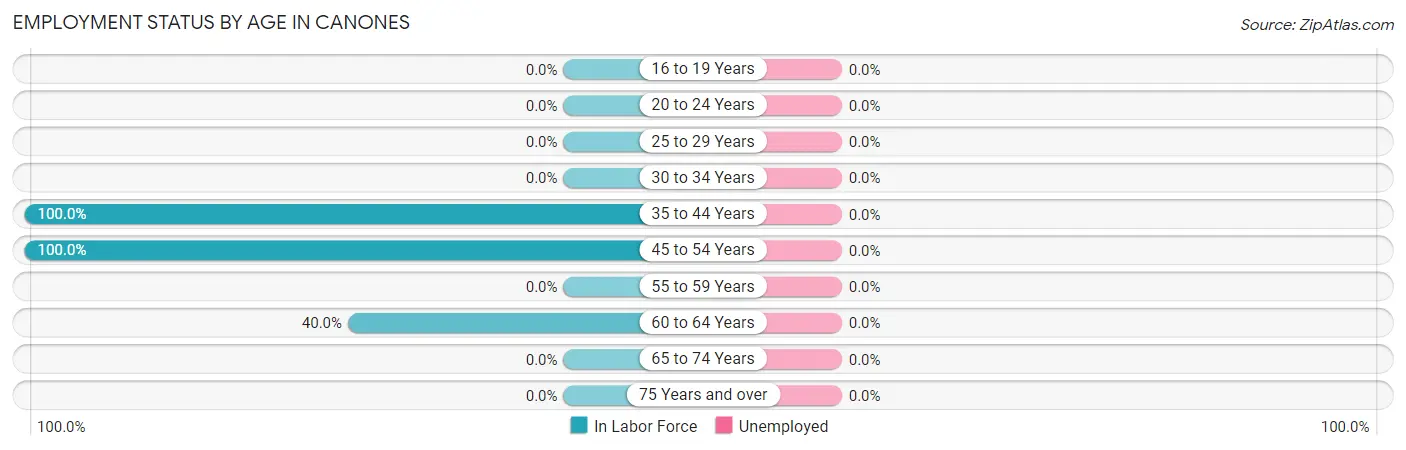 Employment Status by Age in Canones