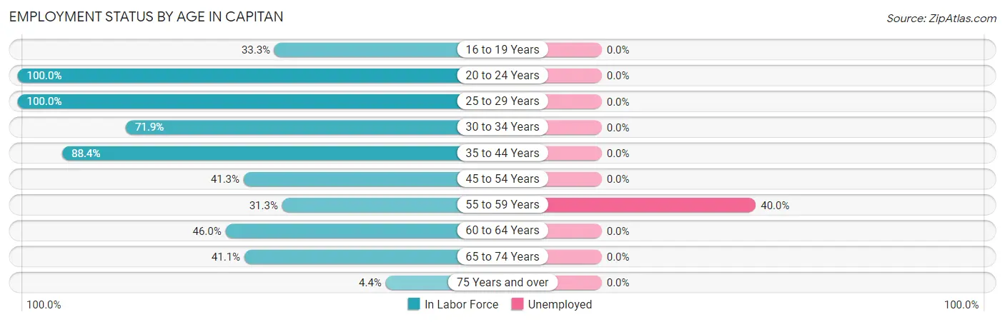 Employment Status by Age in Capitan