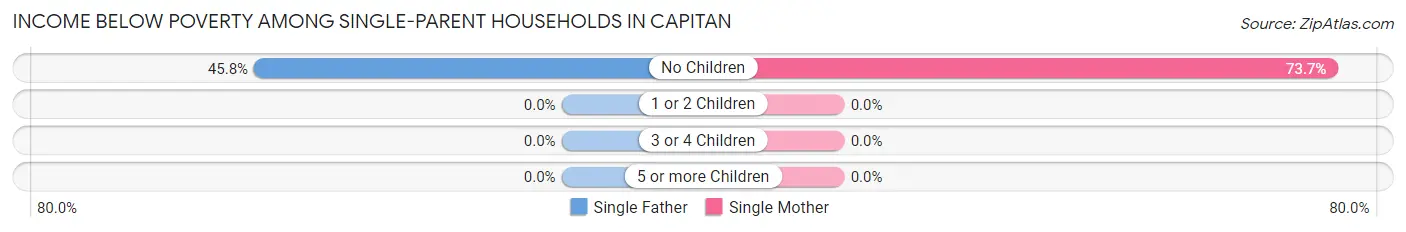 Income Below Poverty Among Single-Parent Households in Capitan