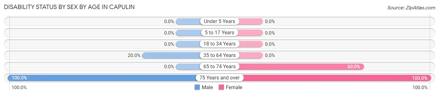 Disability Status by Sex by Age in Capulin