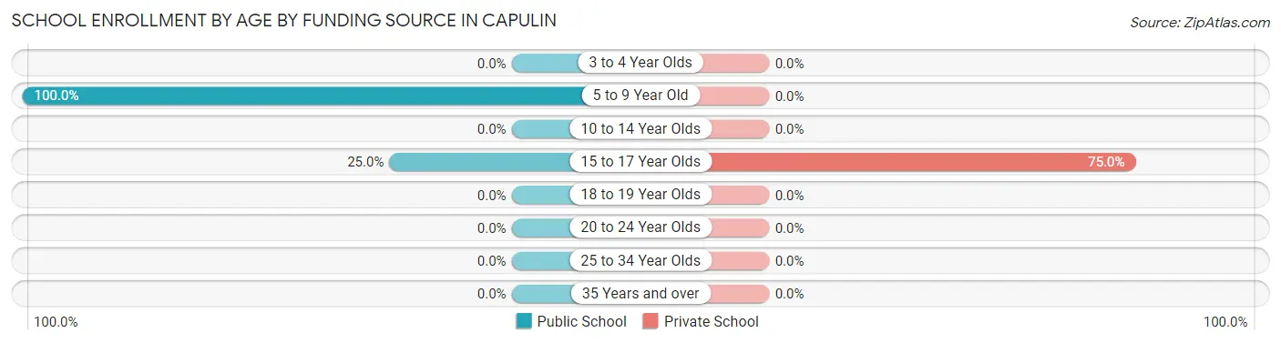 School Enrollment by Age by Funding Source in Capulin