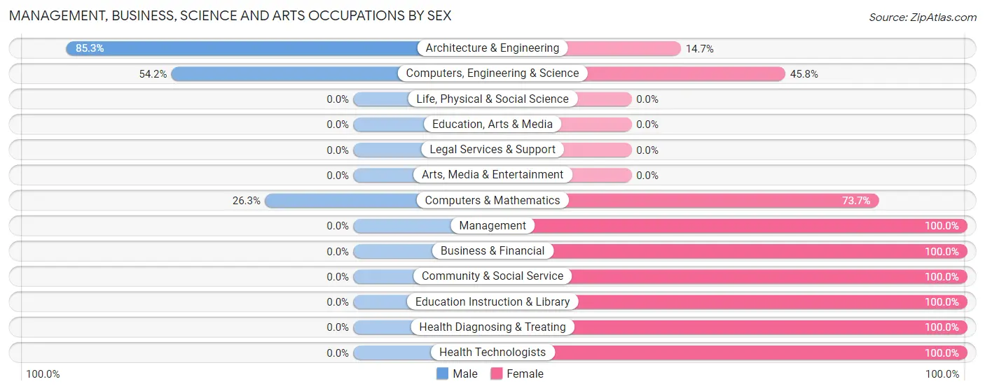 Management, Business, Science and Arts Occupations by Sex in Carnuel