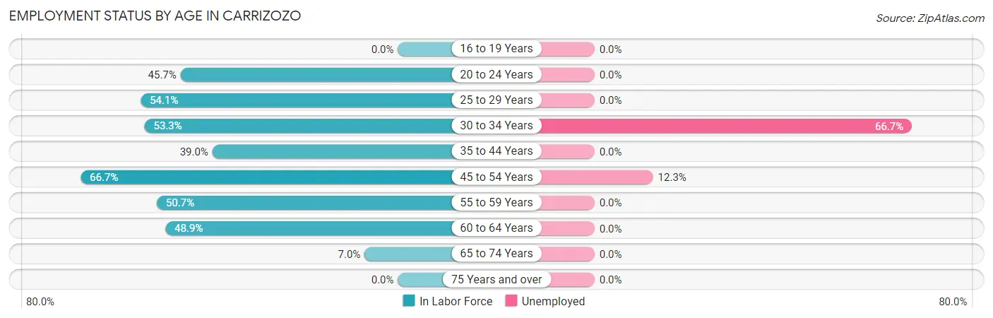 Employment Status by Age in Carrizozo