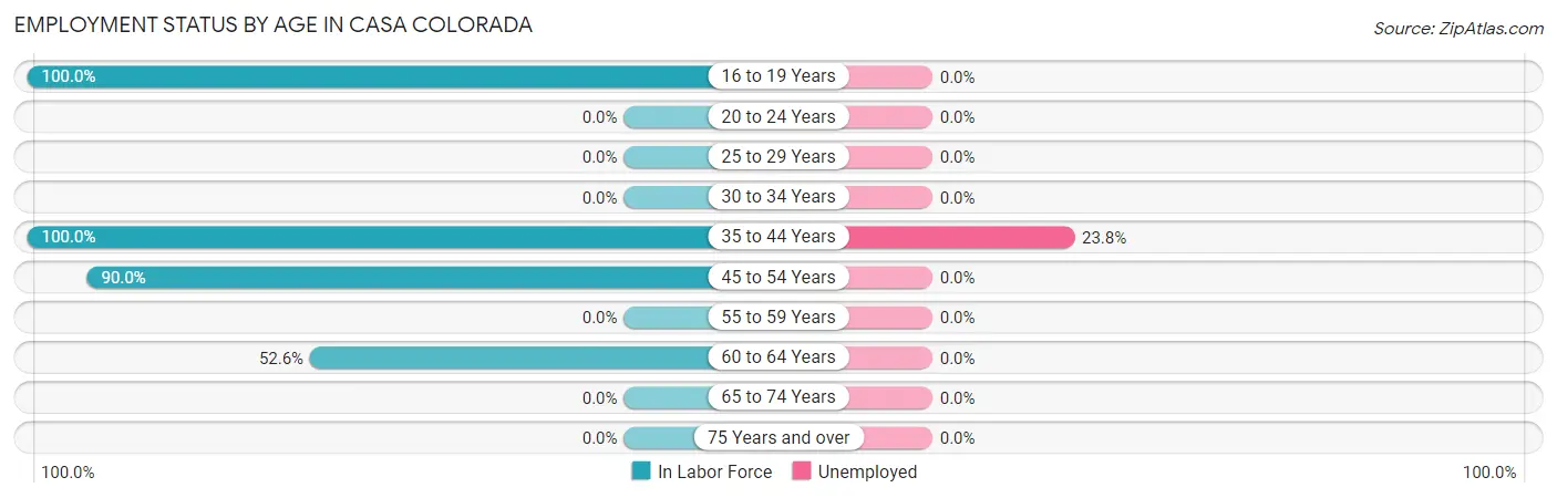 Employment Status by Age in Casa Colorada