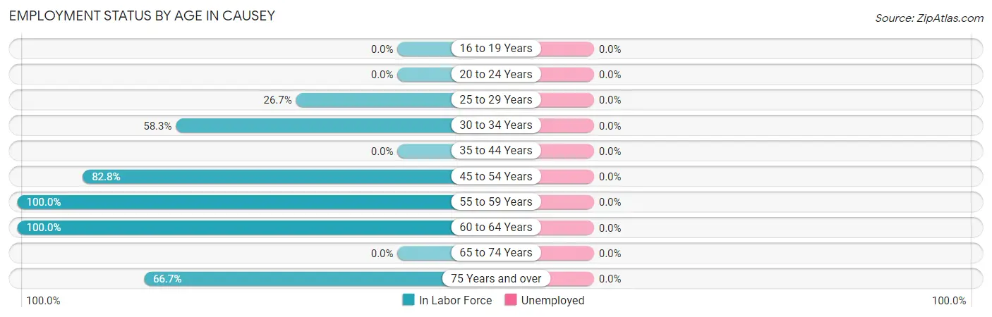 Employment Status by Age in Causey