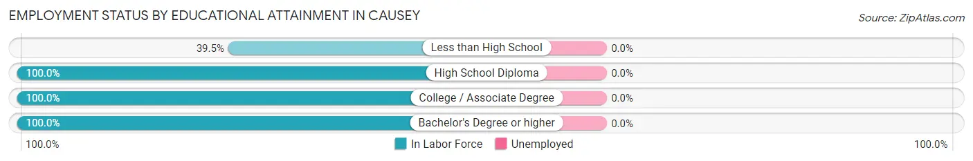 Employment Status by Educational Attainment in Causey