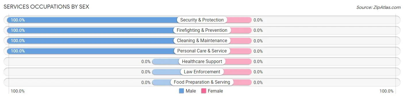 Services Occupations by Sex in Causey