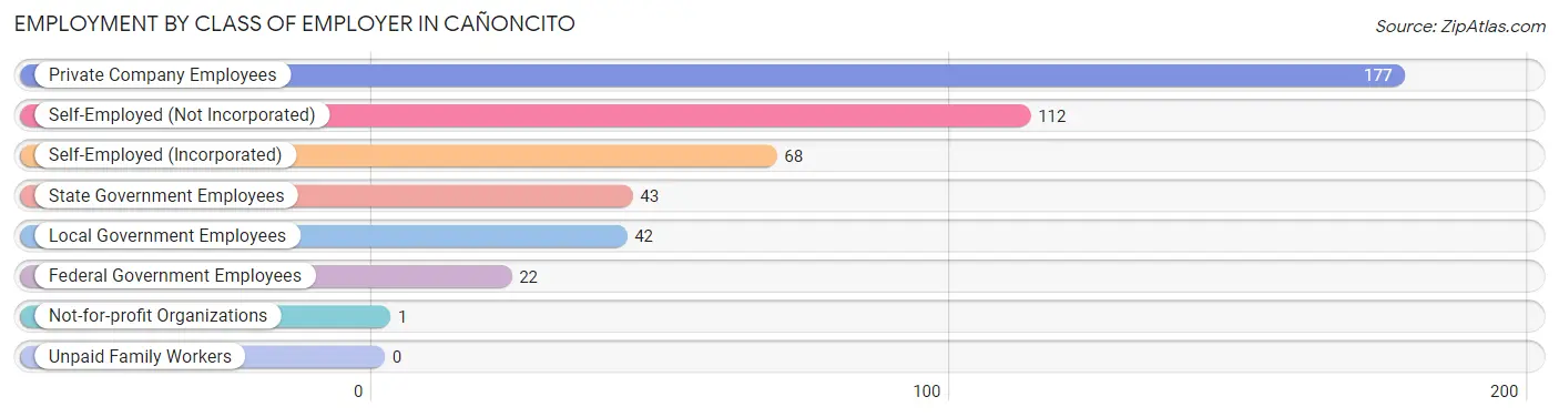 Employment by Class of Employer in Cañoncito