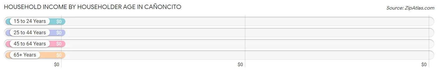 Household Income by Householder Age in Cañoncito