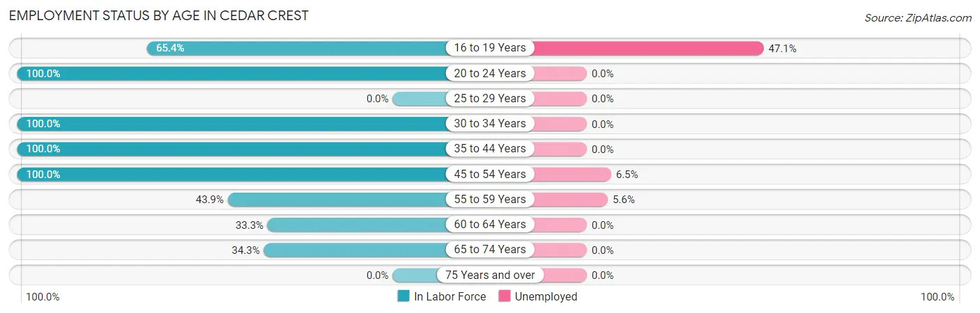 Employment Status by Age in Cedar Crest