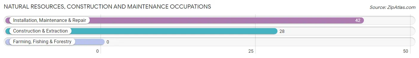 Natural Resources, Construction and Maintenance Occupations in Cedar Crest