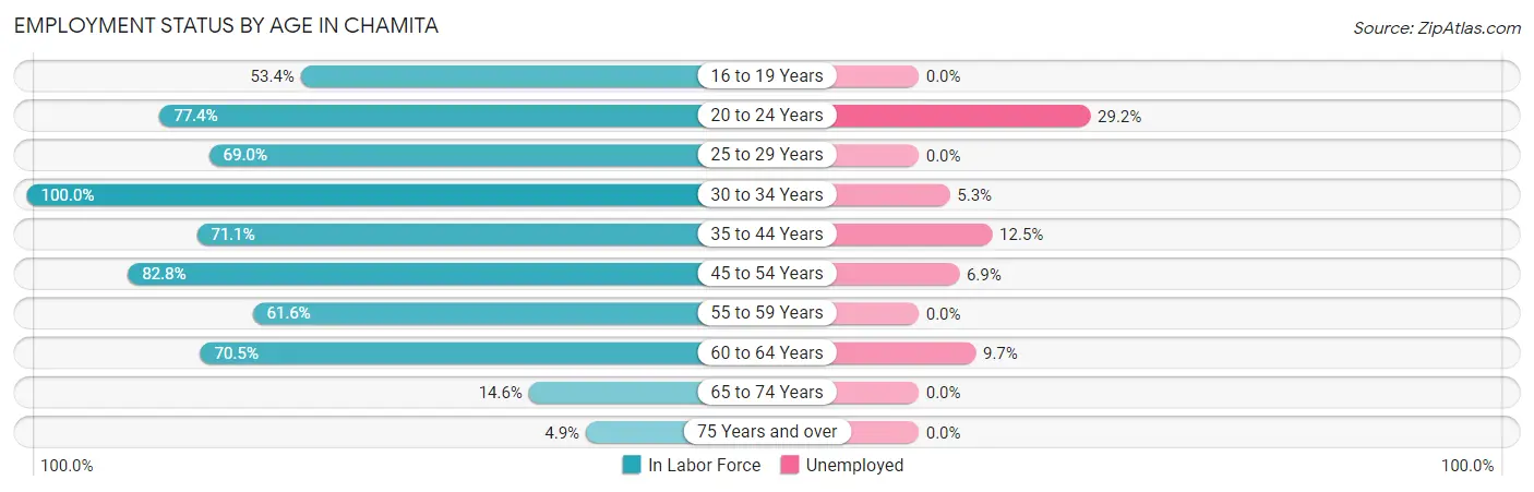 Employment Status by Age in Chamita