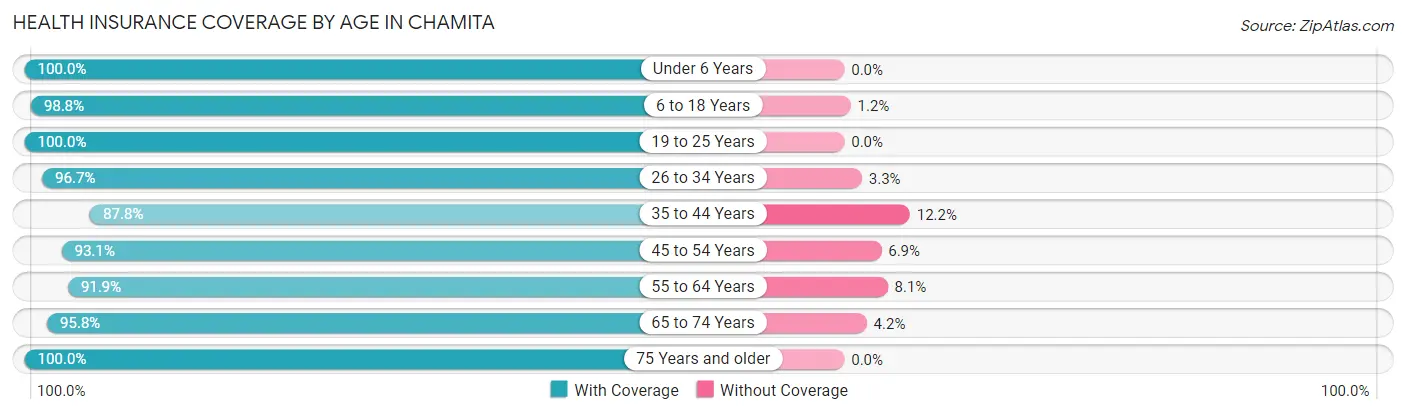 Health Insurance Coverage by Age in Chamita
