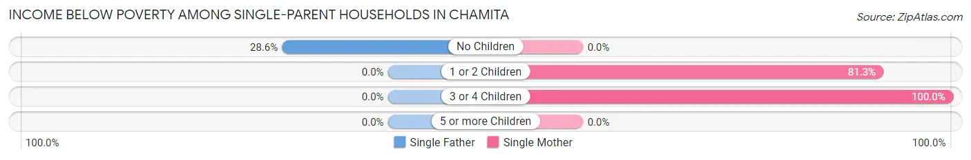 Income Below Poverty Among Single-Parent Households in Chamita