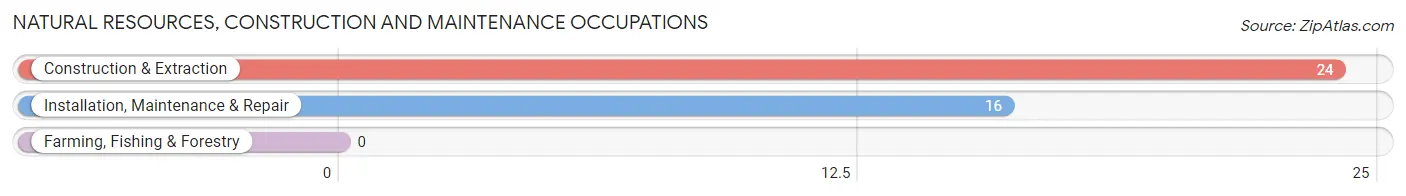 Natural Resources, Construction and Maintenance Occupations in Chamita